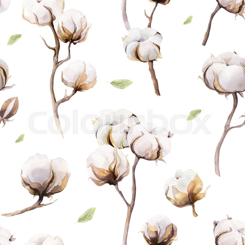 800x800 Watercolor Vintage Background With Twigs And Cotton Flowers Boho