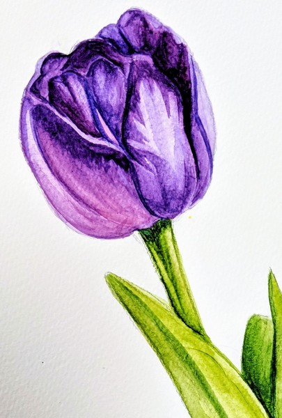 405x600 Botanical Watercolours