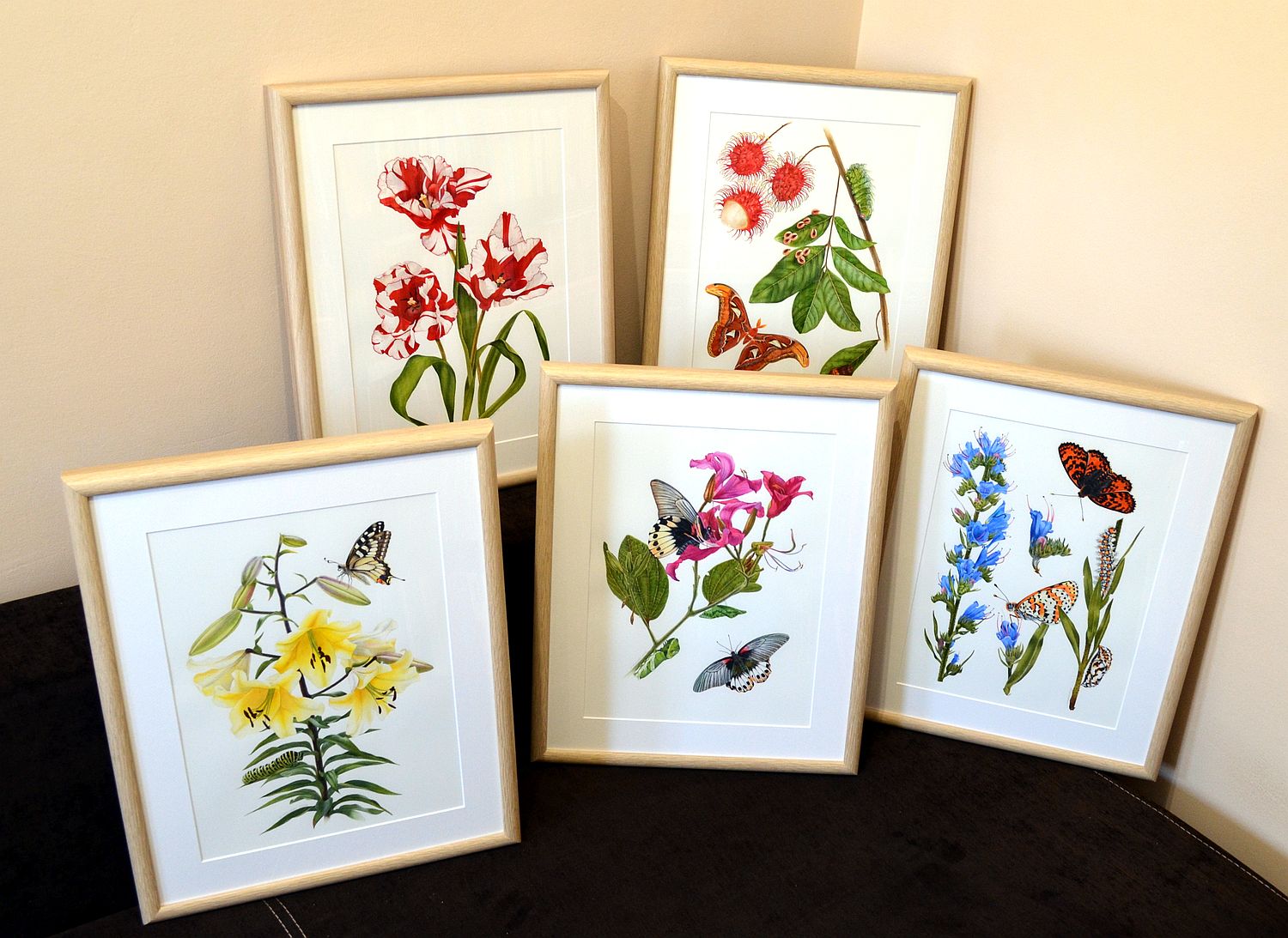 1500x1093 Botanical And Nature Art By Krzysztof Kowalski