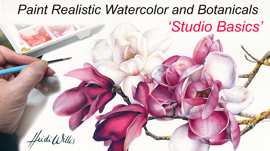 900x506 Online Watercolor Painting Tutorials Heidi Willis