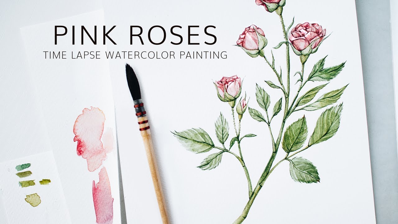 1280x720 Pink Roses Watercolor Painting Botanical Illustration Time Lapse