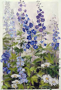 200x294 Watercolor Floral, Botanical Paintings And Prints By Gary Milek