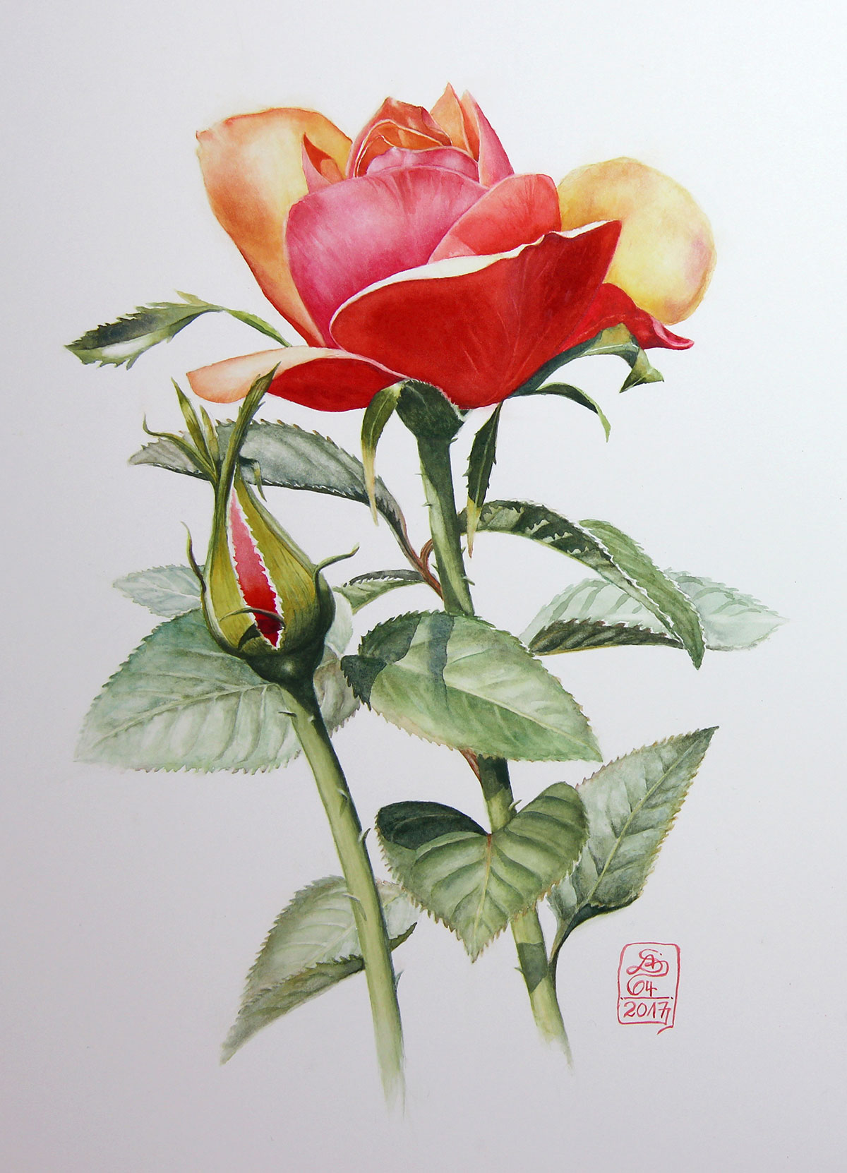 1200x1662 Watercolour Botanical Painting With Susanne Absolon