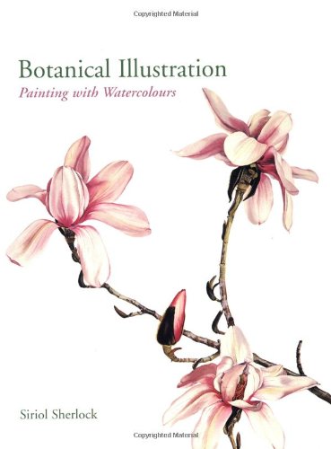 369x500 Botanical Illustration Painting With Watercolours Siriol