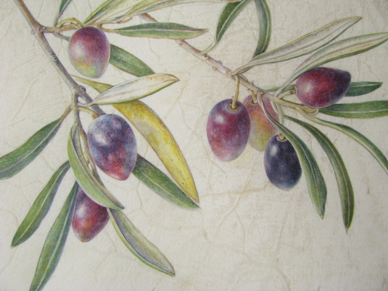 800x600 Botanical Sketches And Other Stories