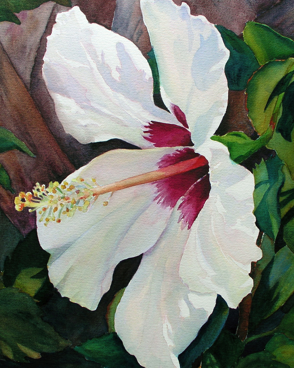 957x1200 Botanical Watercolor Paintings White Wonder By Judy Mercer