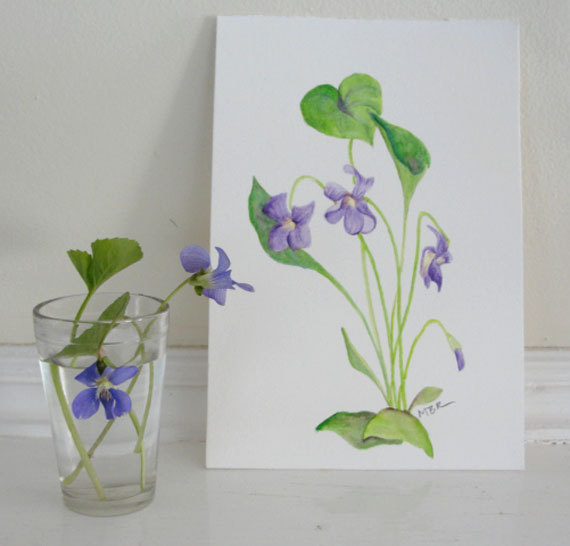 570x546 Botanical Watercolor Paintings