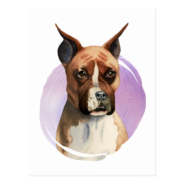 630x630 Boxer Dog Watercolor Painting Postcard