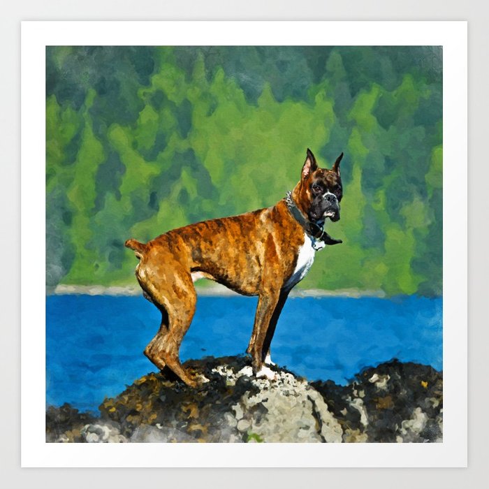 700x700 Boxer Dog Watercolor Digital Art Art Print By K9printart Society6