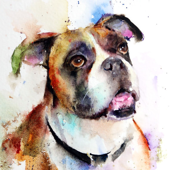 570x570 Boxer Watercolor Dog Print By Dean Crouser Acuarelas