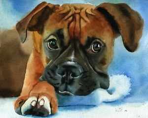 300x240 Giclee Print Boxer Dog Watercolor Watercolor Painting Art Pet