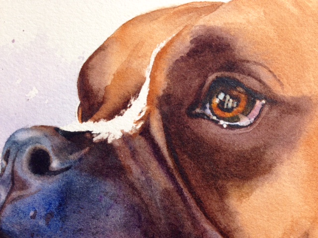 640x480 Paint Your Pup! Create Artistic Watercolor Pet Portraits