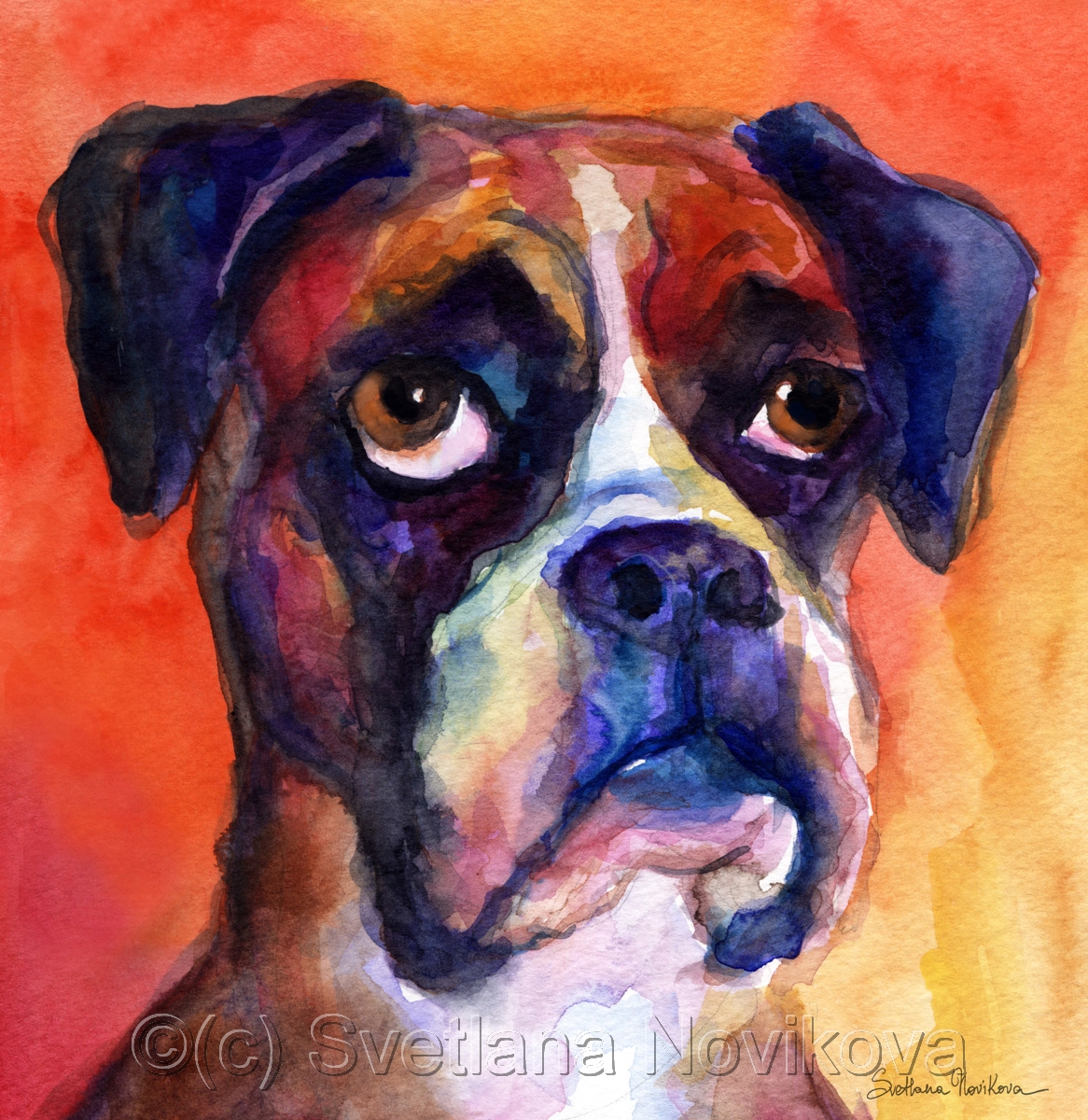 1166x1200 Painting Funny Watercolor Boxer Dog Painting (Original Art By