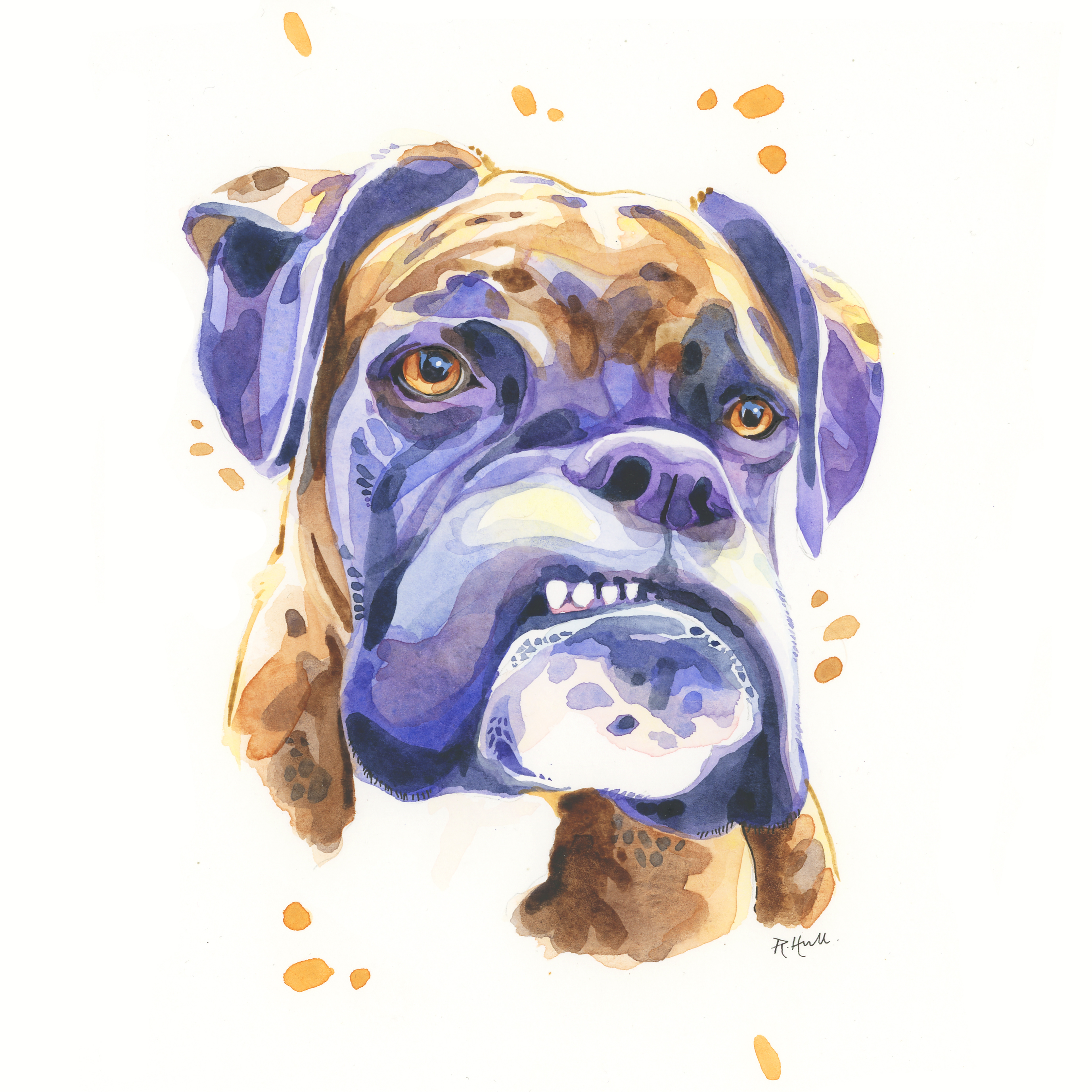 2754x2754 Say Cheese! Boxer Dog Watercolour, 12in X 9in