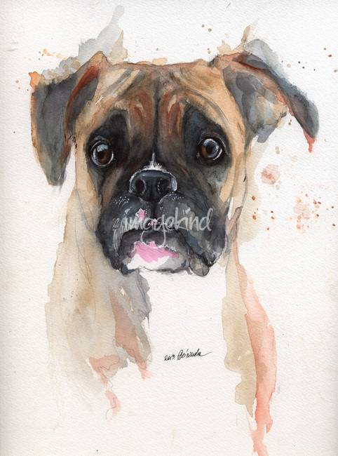 482x650 Stunning Boxer Dogs Watercolor Painting Reproductions For Sale