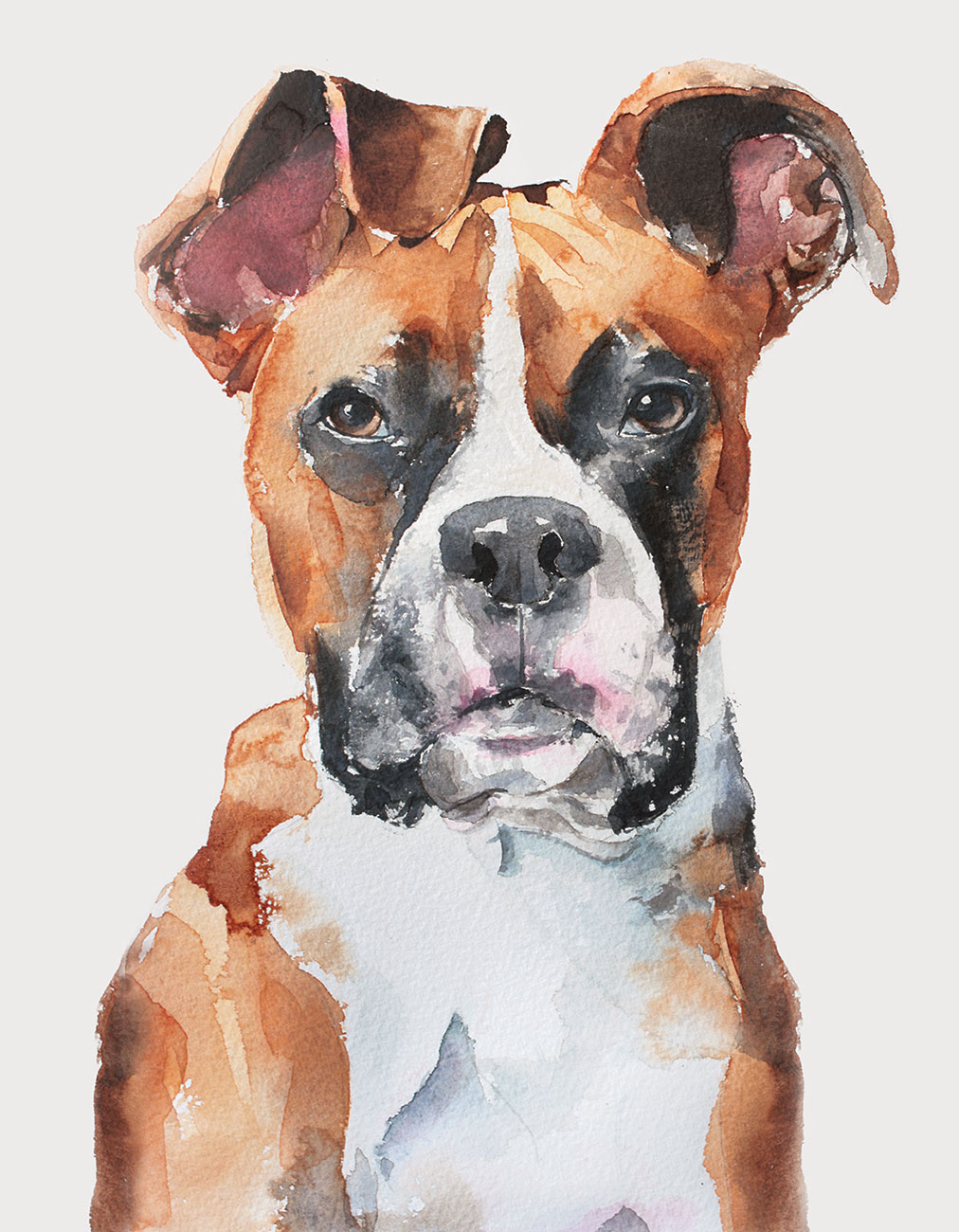 1012x1300 Wetnose Watercolours Pet Portraits By Caroline Grigg