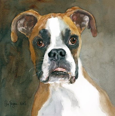 473x480 Watercolor Boxer Boxer Dogs Watercolor, Dog And Animal