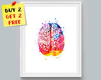 340x270 Brain Watercolor Etsy