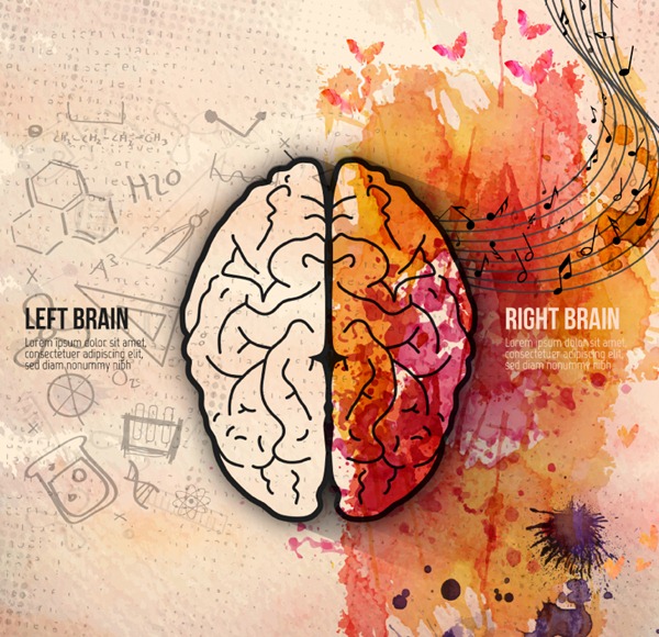 600x580 Creative Brain Watercolor Illustration Vector Graphics My Free