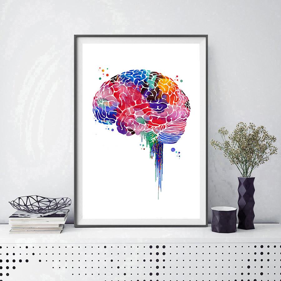 900x900 Brain Watercolor Print Lobes Of The Cerebral Cortex Mimiprints