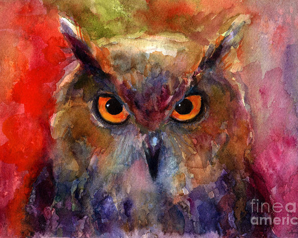 600x480 Bright Impressionist Owl Watercolor Painting Poster By Svetlana