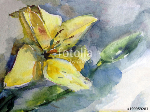 500x373 Watercolor Art Background Floral Exotic Lily Flower Blossom Bloom