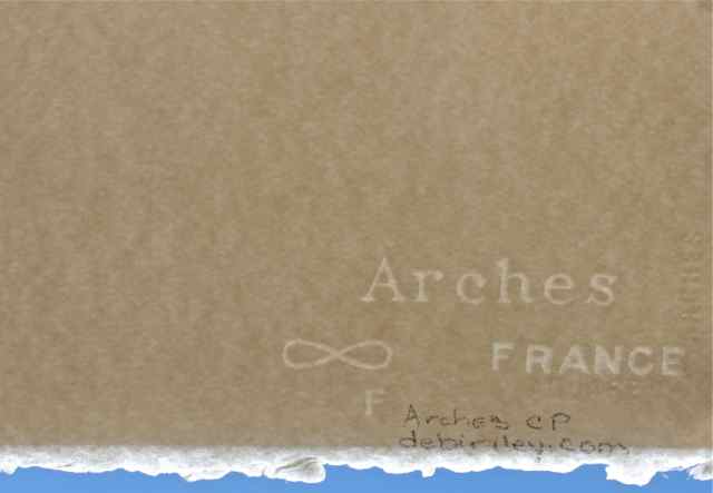 640x443 Choosing Watercolour Papers Debi Riley