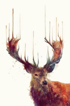 236x358 Deer Friend