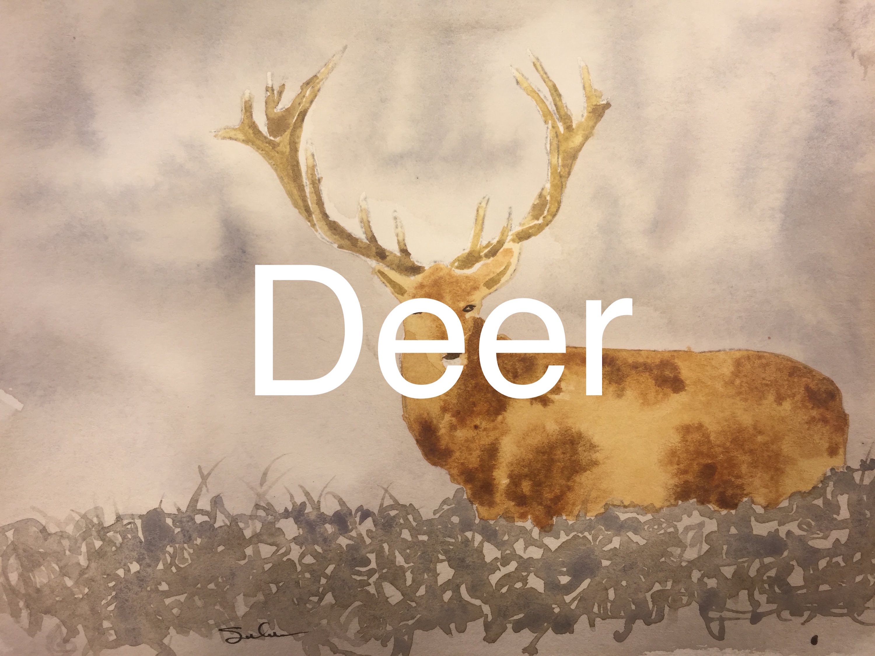 3000x2250 How To Paint A Deer In Watercolour Watercolor Tutorial Buck Horns