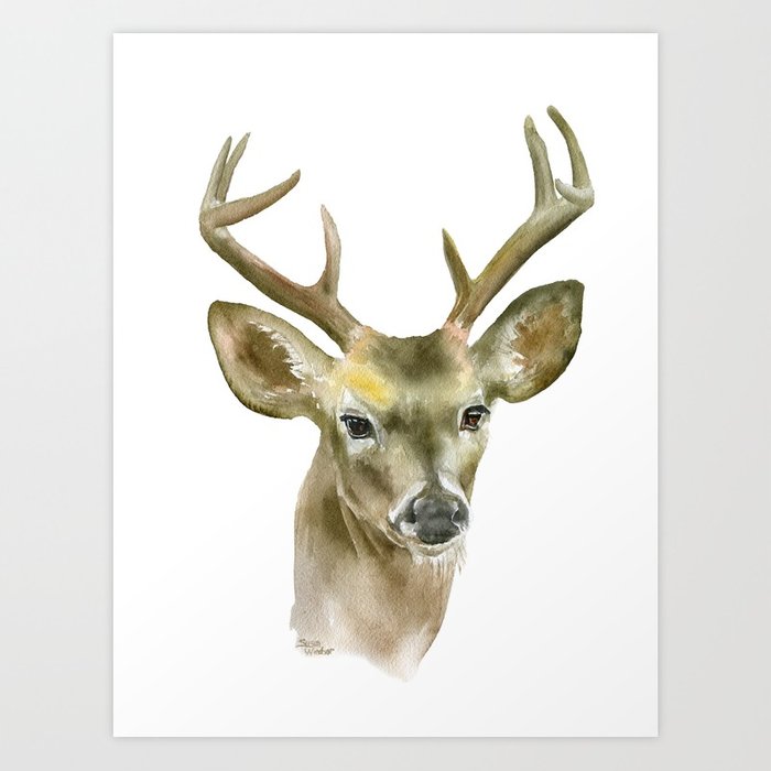 700x700 Buck Watercolor Painting Deer Fine Art Art Print By Susanwindsor