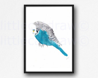 340x270 Budgie Watercolor Etsy