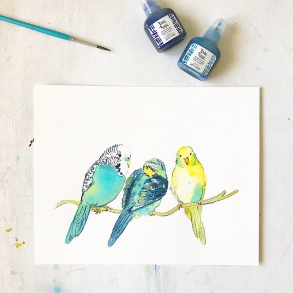 570x570 Budgie Watercolor Original Watercolor Painting Original Etsy