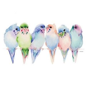 300x300 Pastel Watercolor Parakeets T Shirt Budgies Tee Ebay