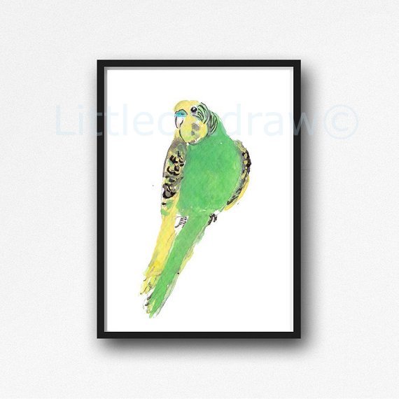 570x570 Bird Print Parakeet Green Budgie Watercolor Painting Print Etsy