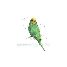 236x236 Bird Print Pretty Blue Budgie Watercolor Painting Print Budgerigar