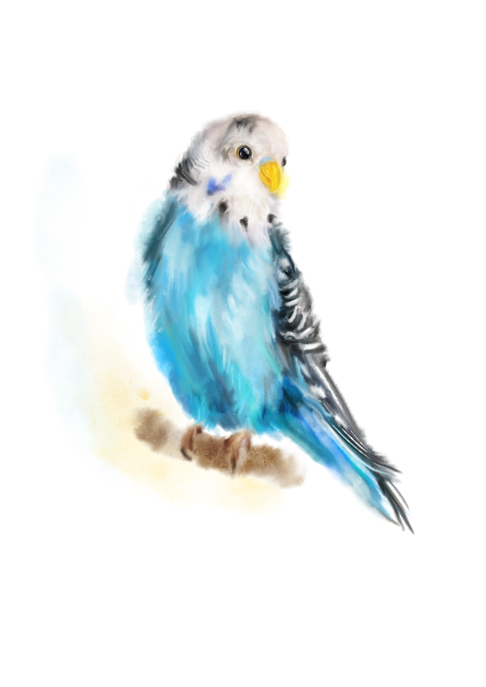 1000x1414 Blue Budgie Art Print Martha Bowyer