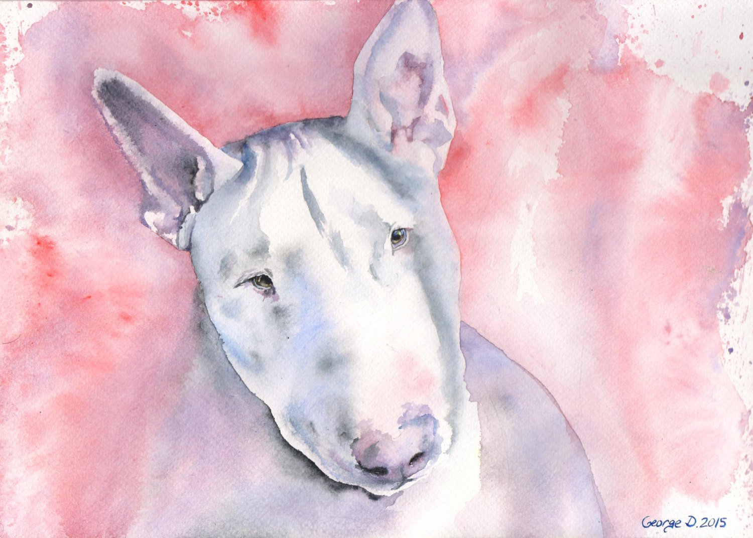 1500x1072 Bull Terrier Print Of The Original Watercolor Painting Art Etsy