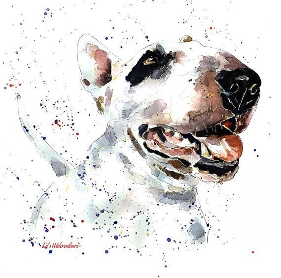 570x565 Bull Terrier Smile Print Watercolour A3 3040cm1612 Ebt