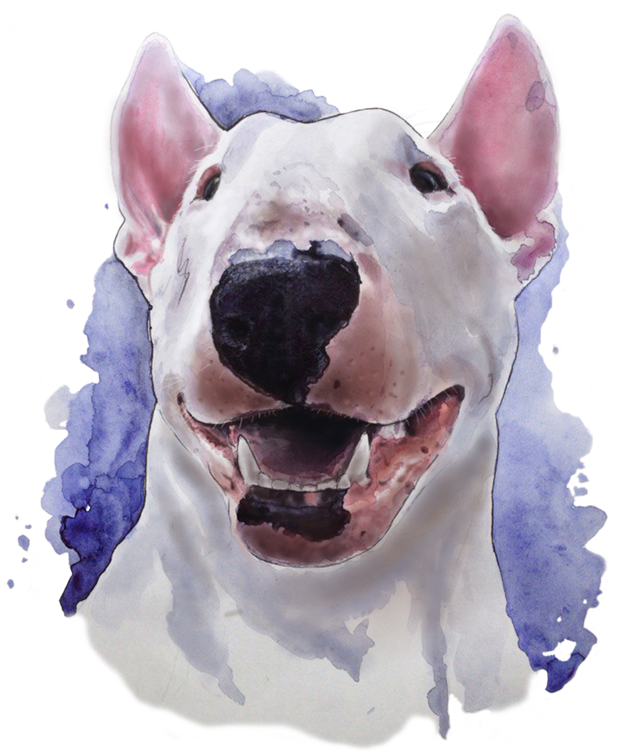 2000x2425 By Elenn Freya. Bull Terrier, Watercolor. Elenn Freya Art