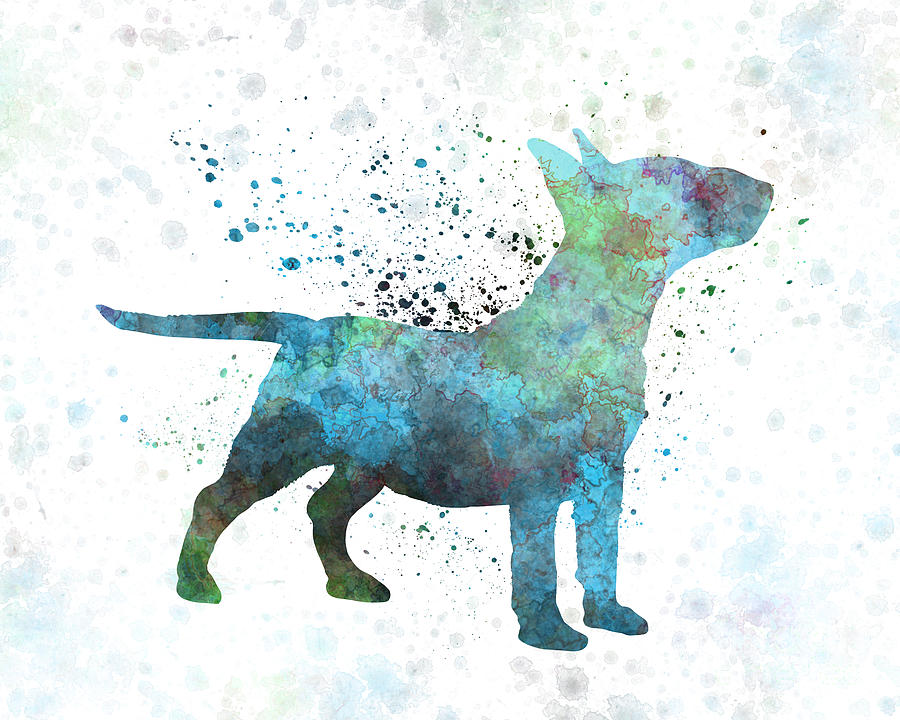 900x720 Miniature Bull Terrier In Watercolor Painting By Pablo Romero