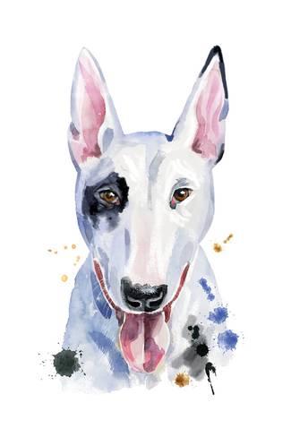 325x488 Watercolor Portrait Of Bull Terrier Prints By Natalia Andreichenko