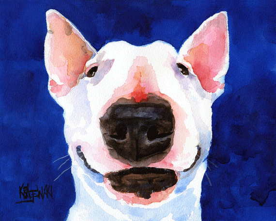 570x456 Bull Terrier Art Print Of Original Watercolor Painting 11x14 Dog