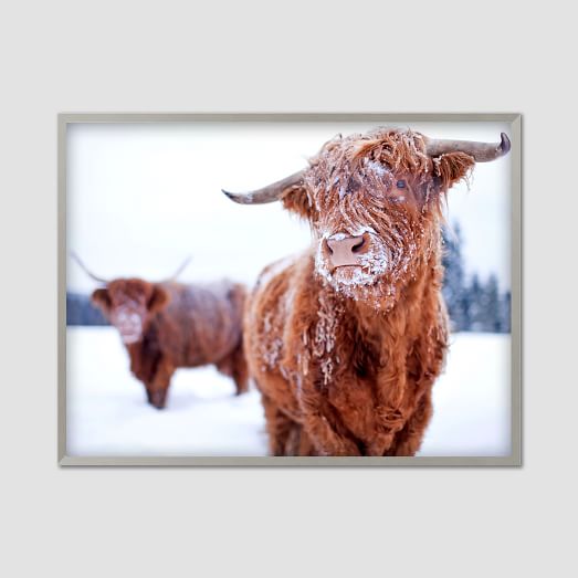 523x523 Framed Watercolor Print