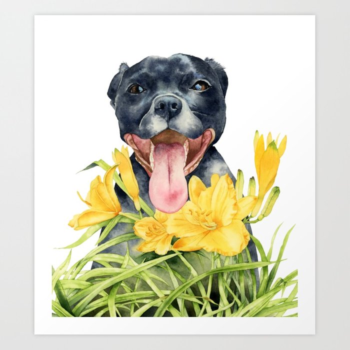 700x700 Joy Pit Bull Dog And Daylily Watercolor Painting Art Print By