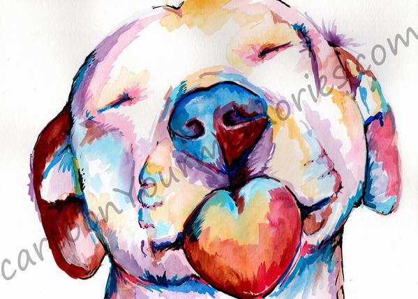 599x428 Pit Bull Watercolor Print Cartoon Your Memories