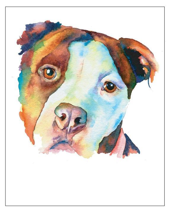 570x738 Pitt Bull Watercolor Painting Pit Bull Terrier Mix Mutt