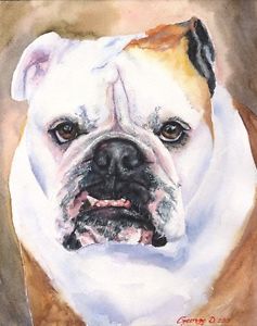 237x300 English Bulldog Watercolor Print Of The Original Watercolor