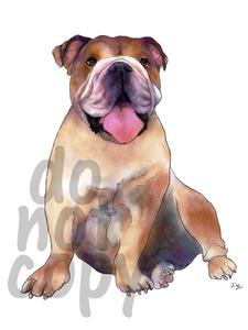 225x300 Bulldog Watercolor Dog