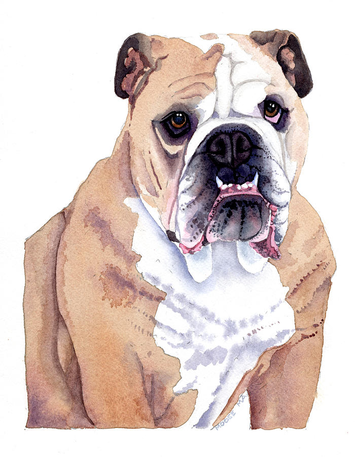 700x900 Bulldog Watercolor Painting By Michele Angel