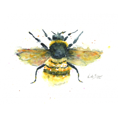380x380 Bumble Bee Illustration